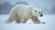 Polar Bear Leftovers: An Essential Arctic Feast