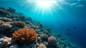 Navigating Misinformation on the Great Barrier Reef's Climate Crisis