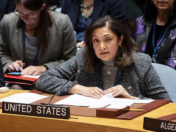 US veto blocks UN resolution on Gaza proposed by Algeria