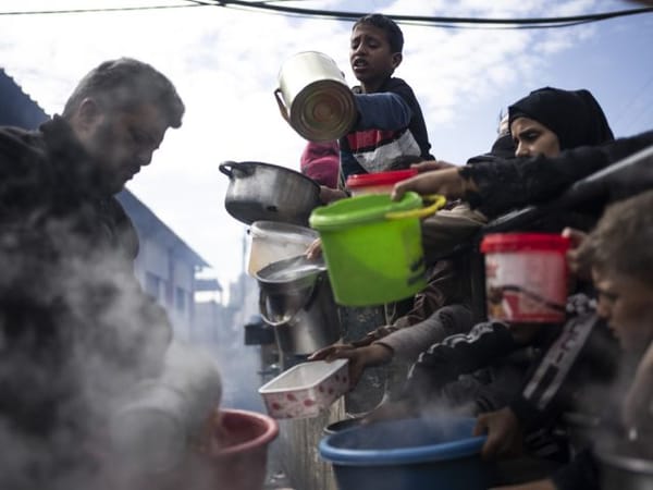 World Food Programme suspends aid to Northern Gaza