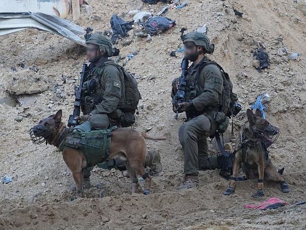 IDF eliminates 30 terrorists in Gaza within 24 hours