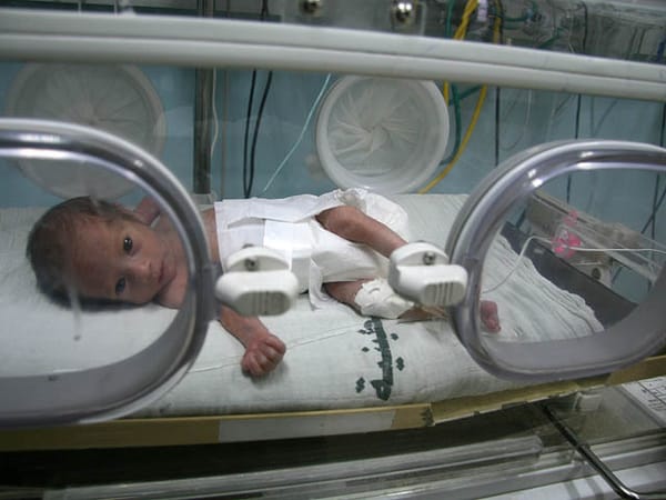 Israel transfers 50 incubators for premature babies to Gaza