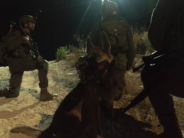 IDF conducts operations in Tubas, Nablus, Ramallah