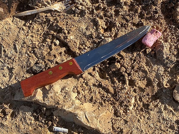 IDF troops shoot Palestinian with knife at West Bank checkpoint