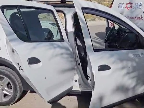 Terrorist attack near Jericho: left-wing activists' car fired upon defending bedouins