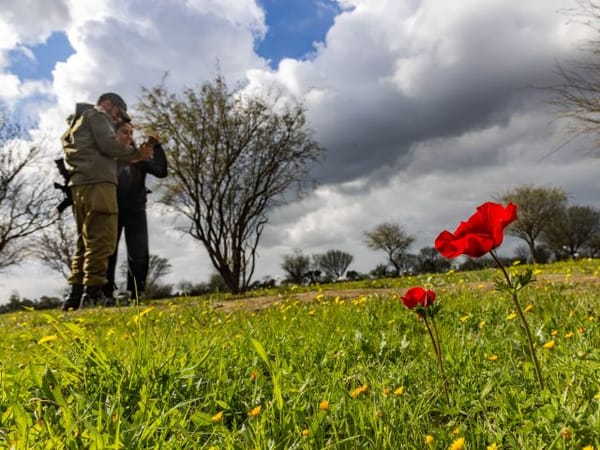 IDF removes restrictions on some locations near Gaza border