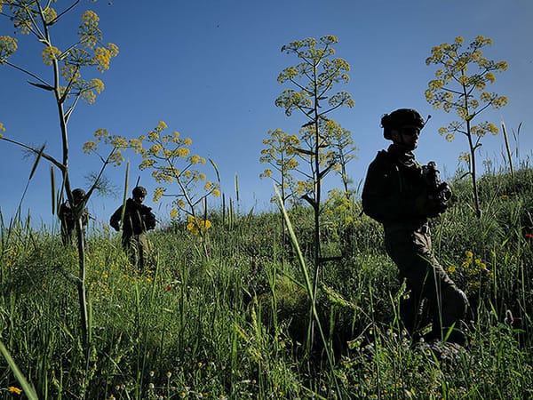 IDF temporarily pauses home leave for all combat units