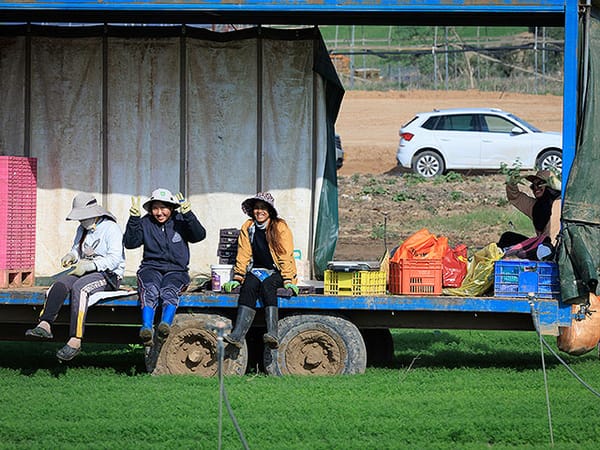 Number of foreign workers in Israel returns to pre-war levels