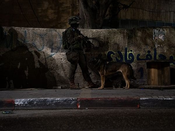 Overnight, IDF operated in areas of Nablus, Tulkarm, Tubas