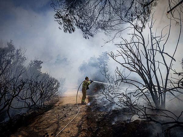 Years of restoration needed after Hezbollah devastates northern Israel forests