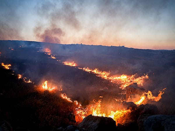 'This is real terror': Number of arson attacks in Samaria doubles