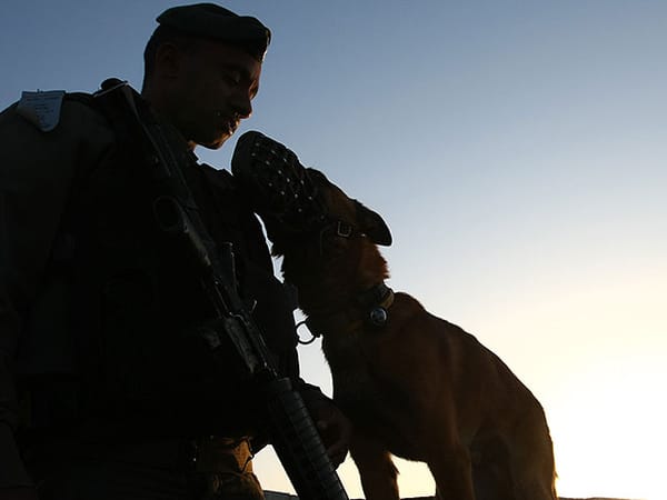 IDF combat dog killed in Kabatiya operation