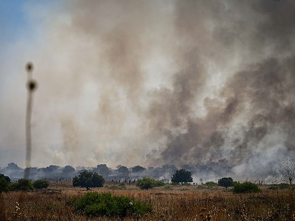 Northern Israel on fire: Dozens of fire crews battle blazes in Galilee and Golan