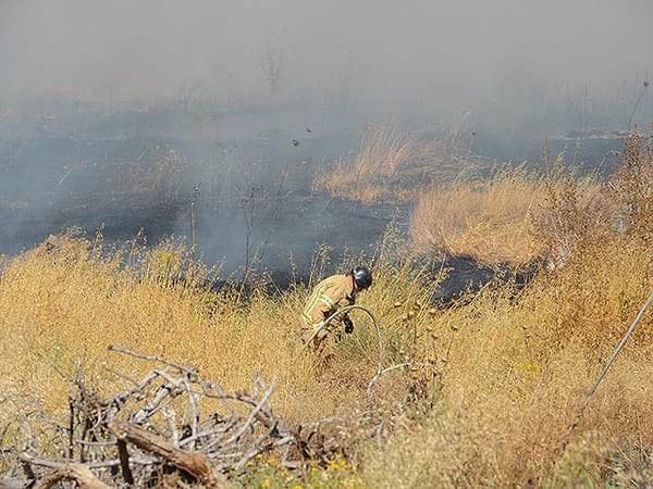 Major field fire in Galilee; special aircraft deployed