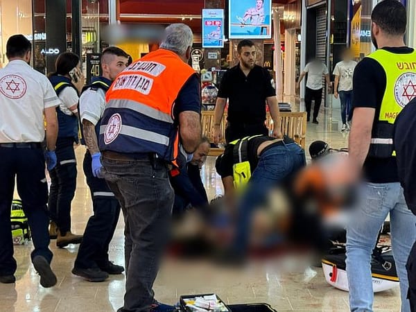 Two Israelis injured in terrorist attack at shopping center