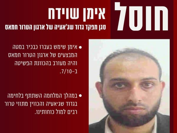 IDF: Deputy commander of Hamas's Shejaiya Battalion Ayman Shweidah eliminated